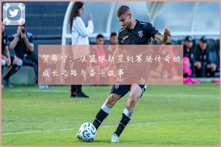 贺希宁：从篮球新星到赛场传奇的成长之路与奋斗故事