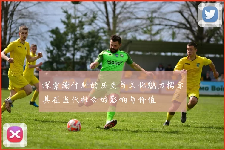 探索谢什科的历史与文化魅力揭示其在当代社会的影响与价值