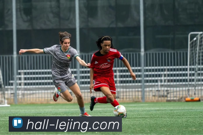 乐竞体育平台生态图